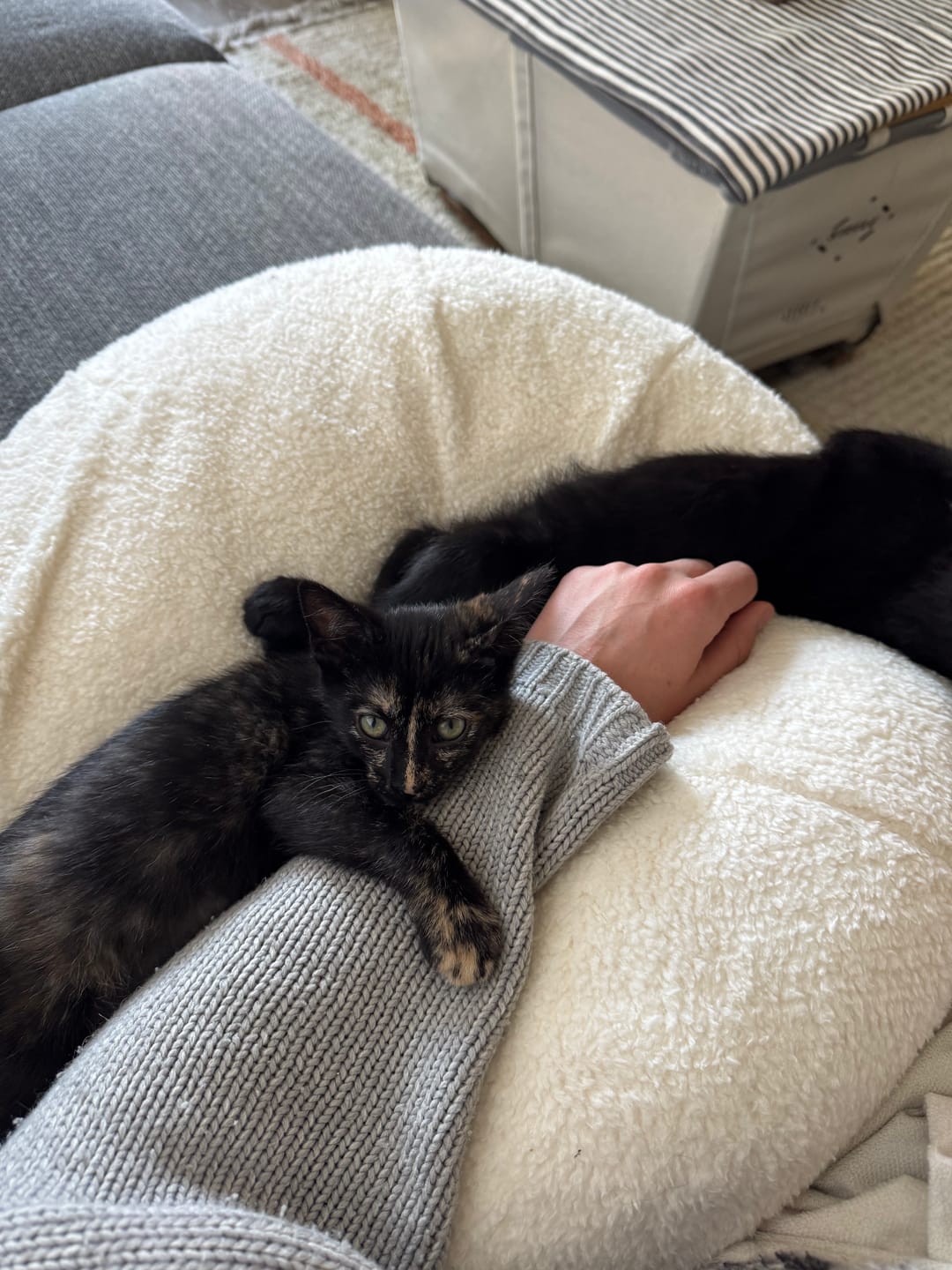 Customer photo review of Marshmallow Pudding Bed