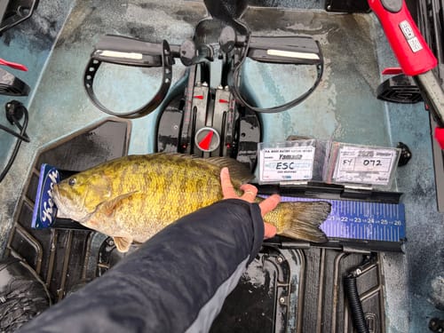 Customer photo review of Z-Man TRD FattyZ