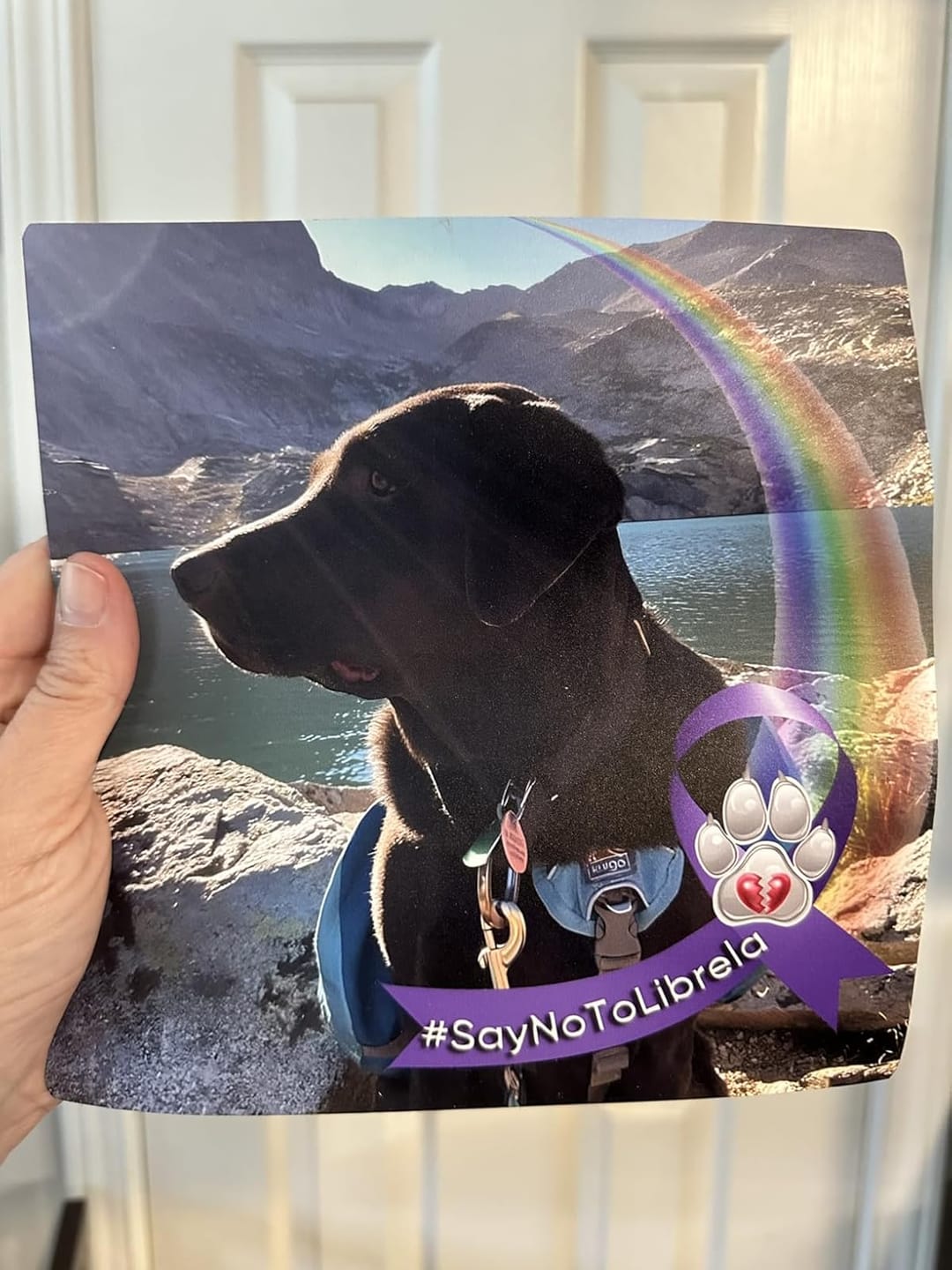 Customer photo review of Custom - Car Magnet Sign