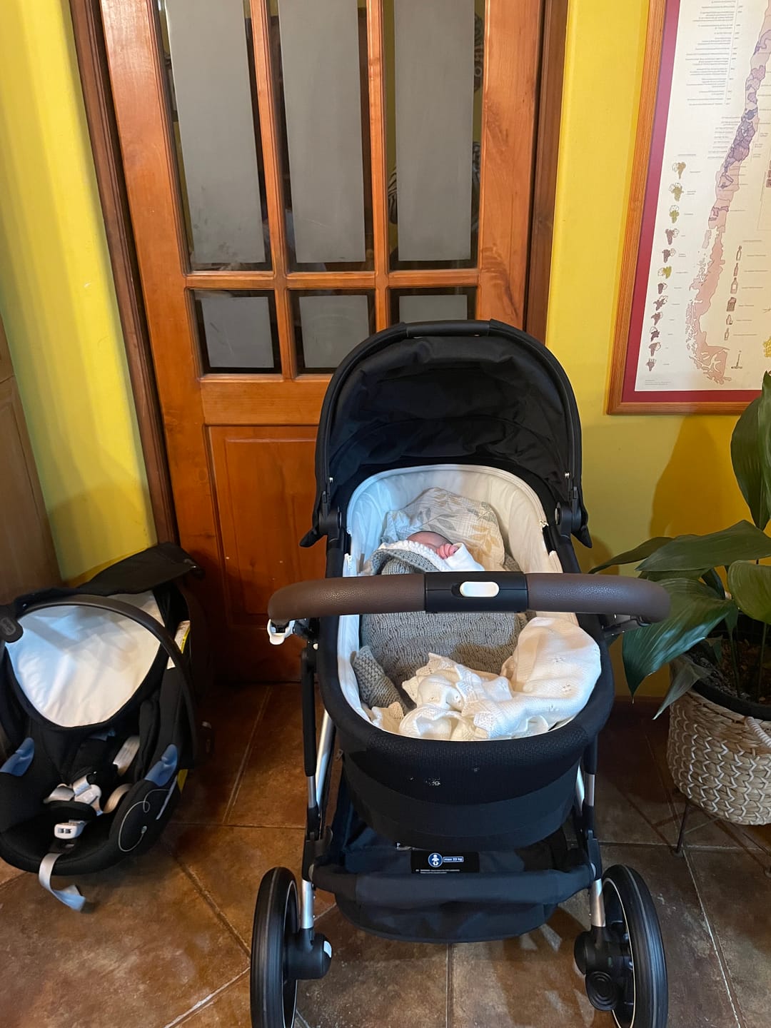 Customer photo review of Moisés Gazelle S Cybex