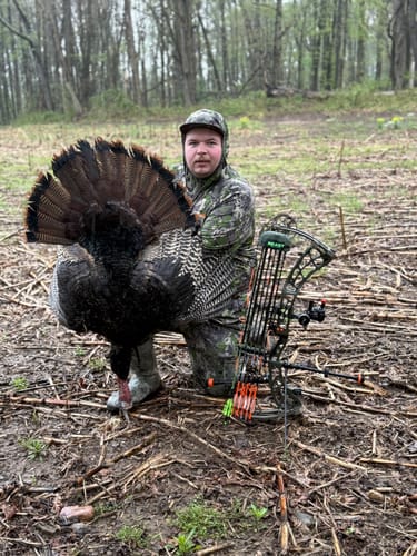 Customer photo review of Turkey Decapper System
