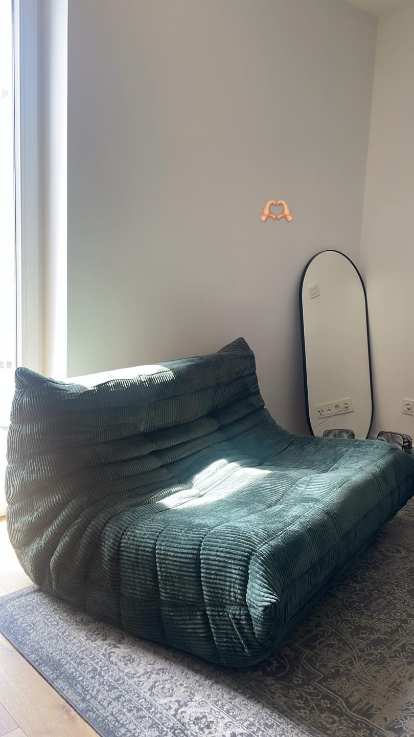 Customer photo review of Togo Sofa