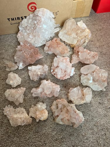 Customer photo review of lucky q star