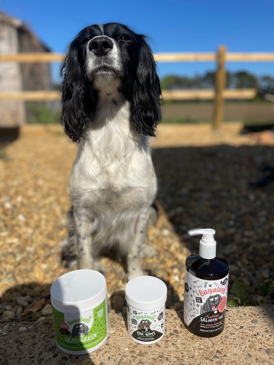 Customer photo review of Soothing Ear Wipes for Dogs 100 Pre-soaked & Biodegradable Wipes