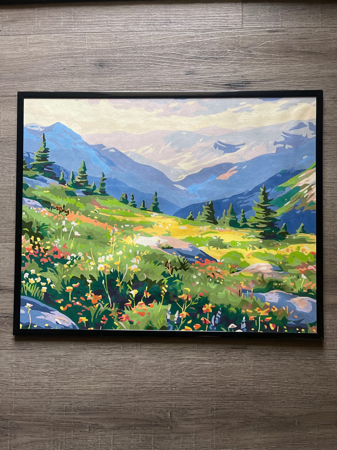 Customer photo review of Mountain Chain View