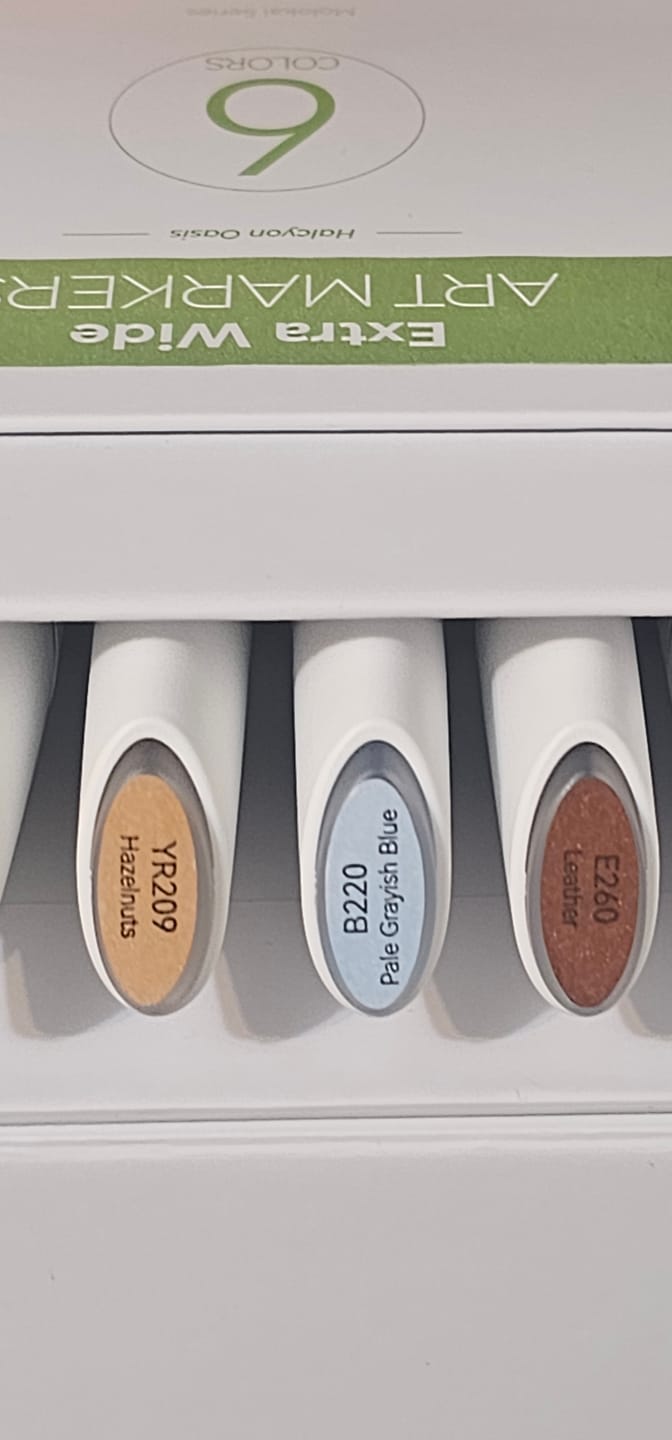Customer photo review of Ohuhu Molokai Four Tones Extra-wide Tip Alcohol Art Markers
