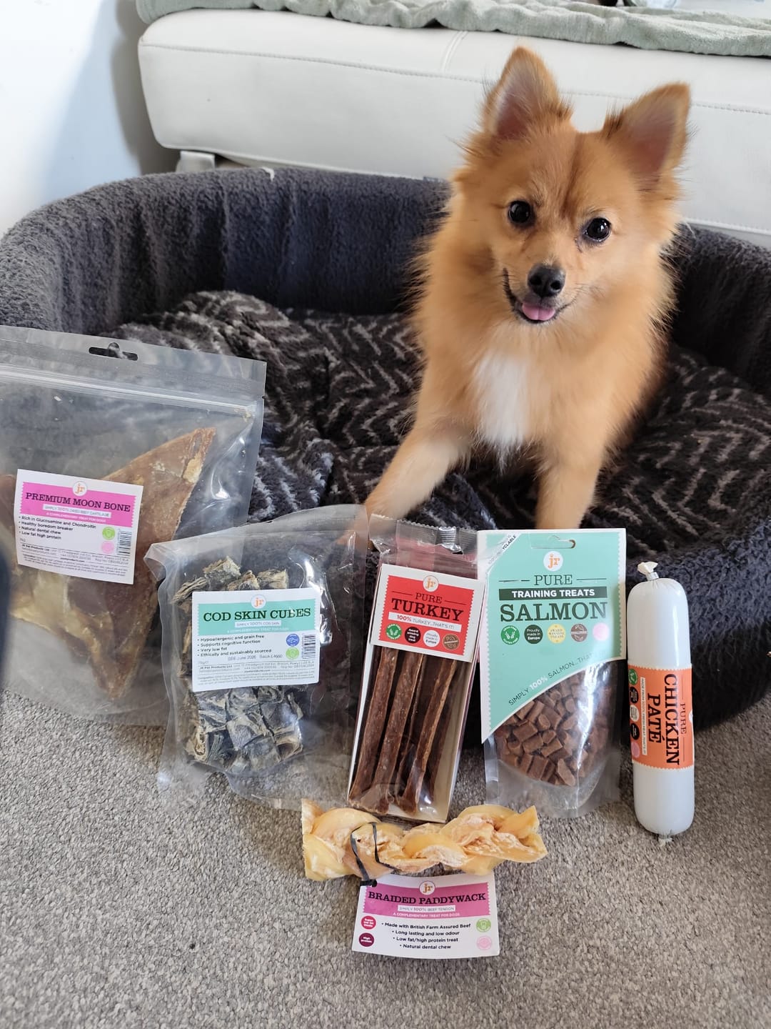 Customer photo review of JR Pet Products Treat & Chew Bundle | Natural, Monthly Variety Box for Happy Dogs