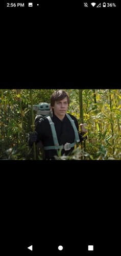 Customer photo review of Skywalker OG Greenhouse THCA Small Buds