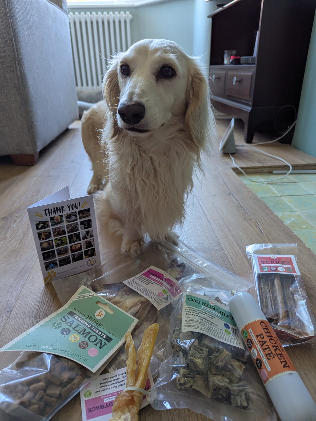 Customer photo review of JR Pet Products Treat & Chew Bundle | Natural, Monthly Variety Box for Happy Dogs