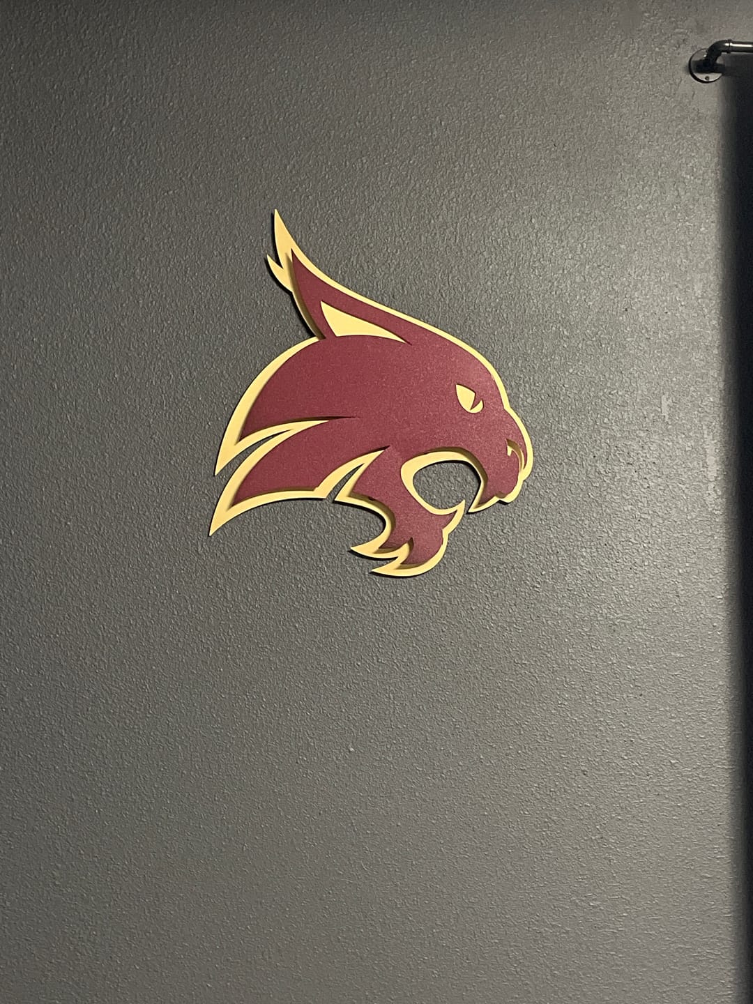 Customer photo review of Texas State Bobcats 3D Vintage Metal Wall Art