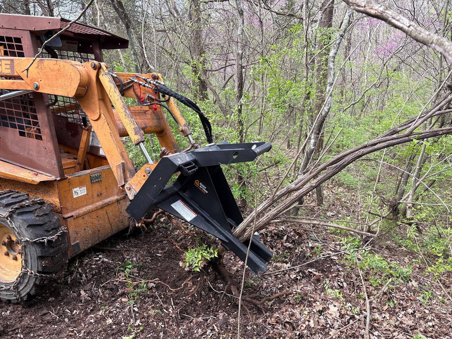 Customer photo review of The Power Claw - Tree Puller