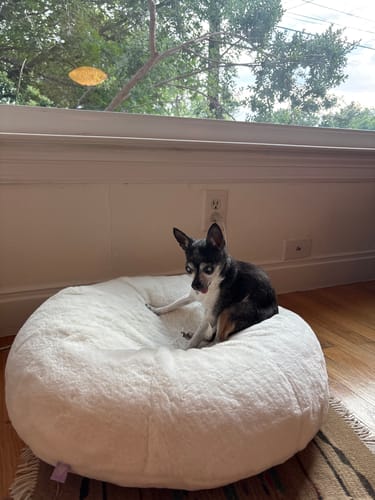 Customer photo review of Sourdough Cover for Pudding Beds