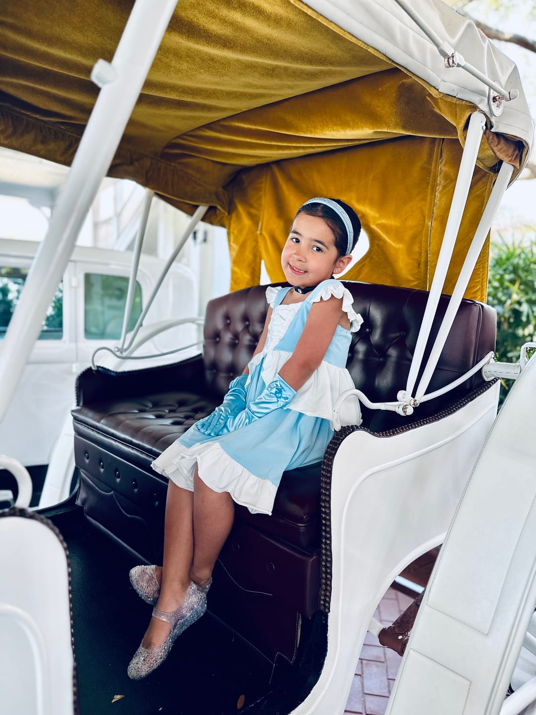 Customer photo review of Our Original Cinderella Twirl Dress