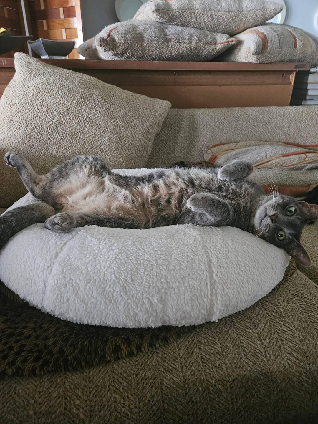 Customer photo review of Marshmallow Pudding Bed