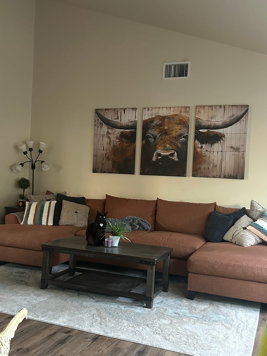 Customer photo review of Scottish Highland Cow Cattle Art Print on Wood Style Background