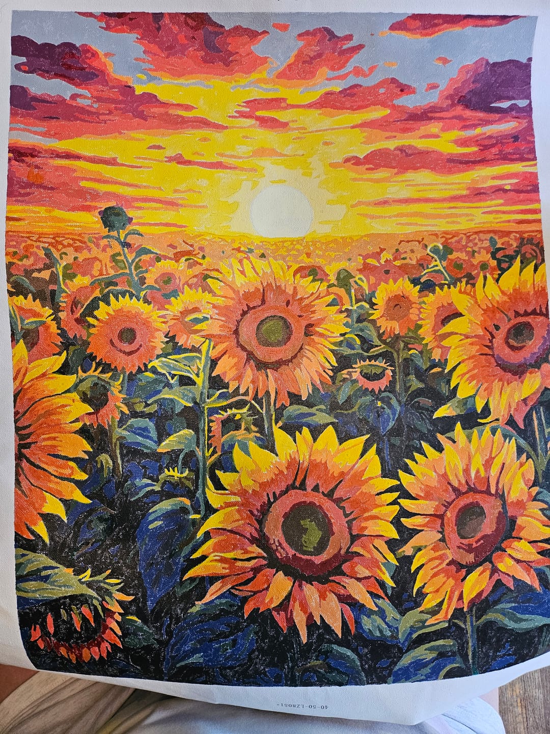 Customer photo review of Sunflower Dusk