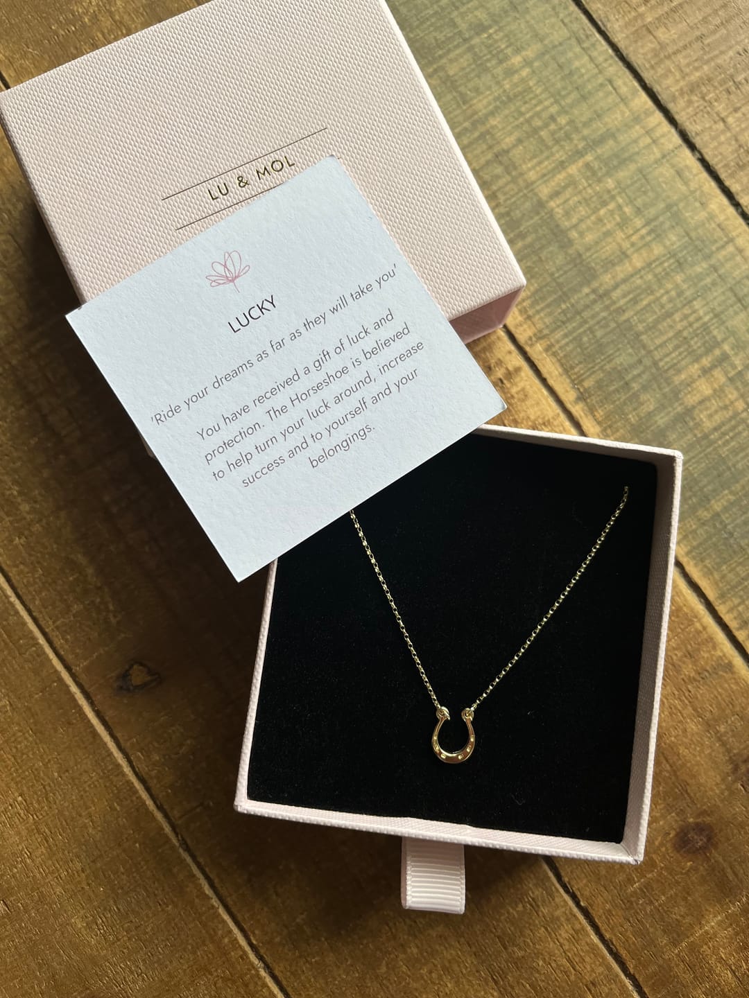 Customer photo review of Lucky Horseshoe Small 9ct Solid Gold Necklace (Symbolising Luck and Protection)