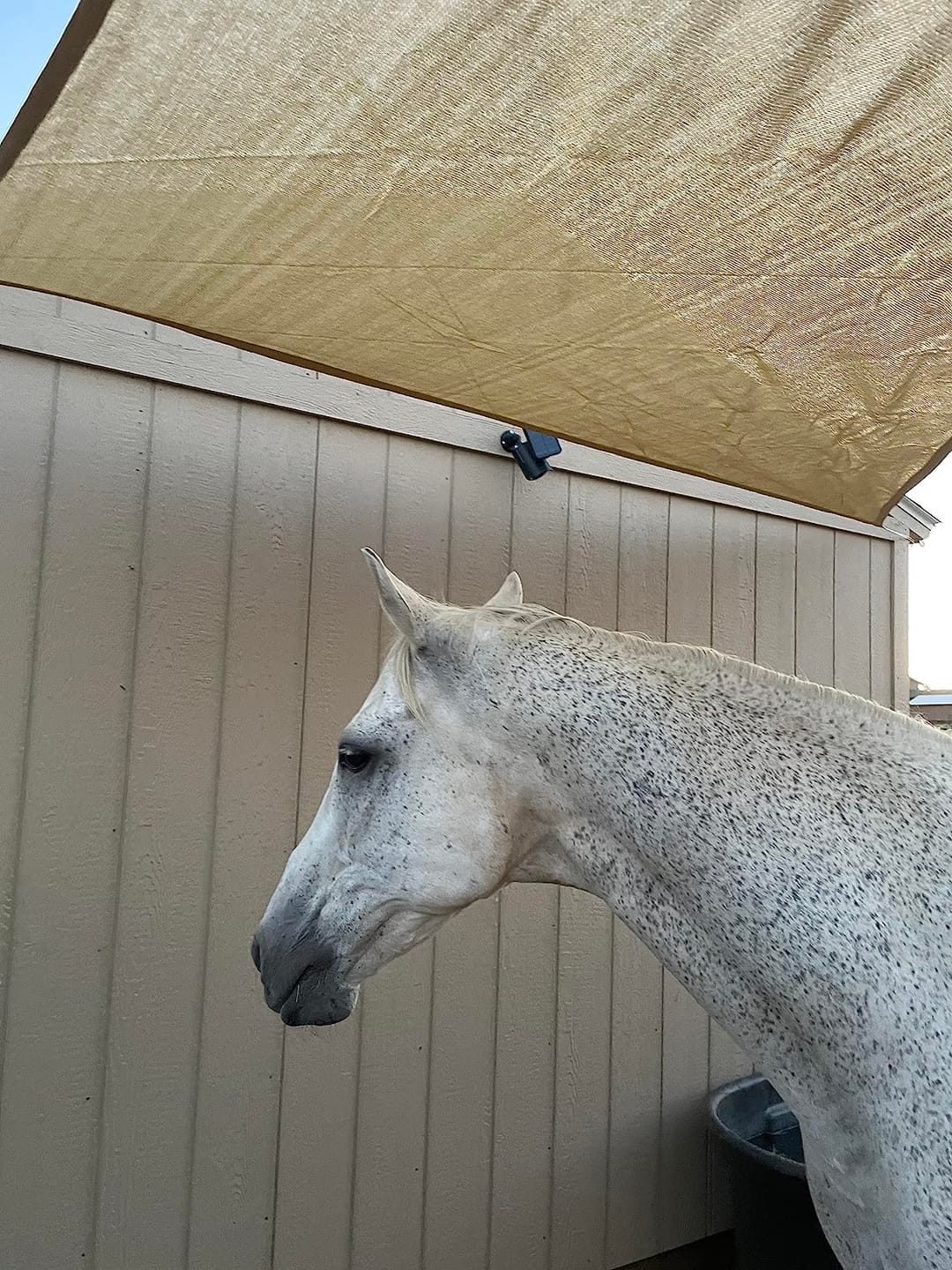 Customer photo review of Custom Sized HDPE Breathable UV Block Triangle Sun Shade Sail for Patio/Pool