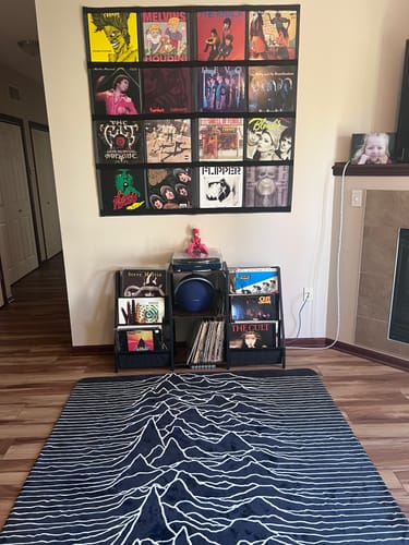 Customer photo review of 12" Vinyl Record Display Frame - LP Wall Storage