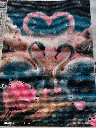 Customer photo review of 5D Diamond Painting AB Steine – Pfad zum Sonnenuntergang