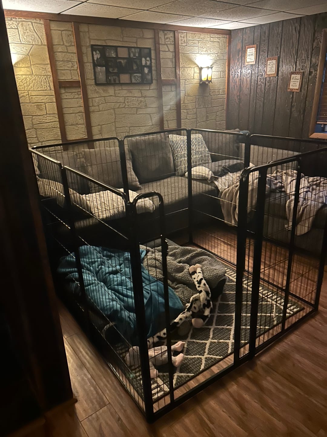 Customer photo review of Homeplus Dog Playpen for Indoor Use