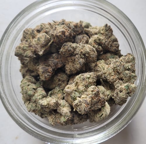 Customer photo review of Pink Panties