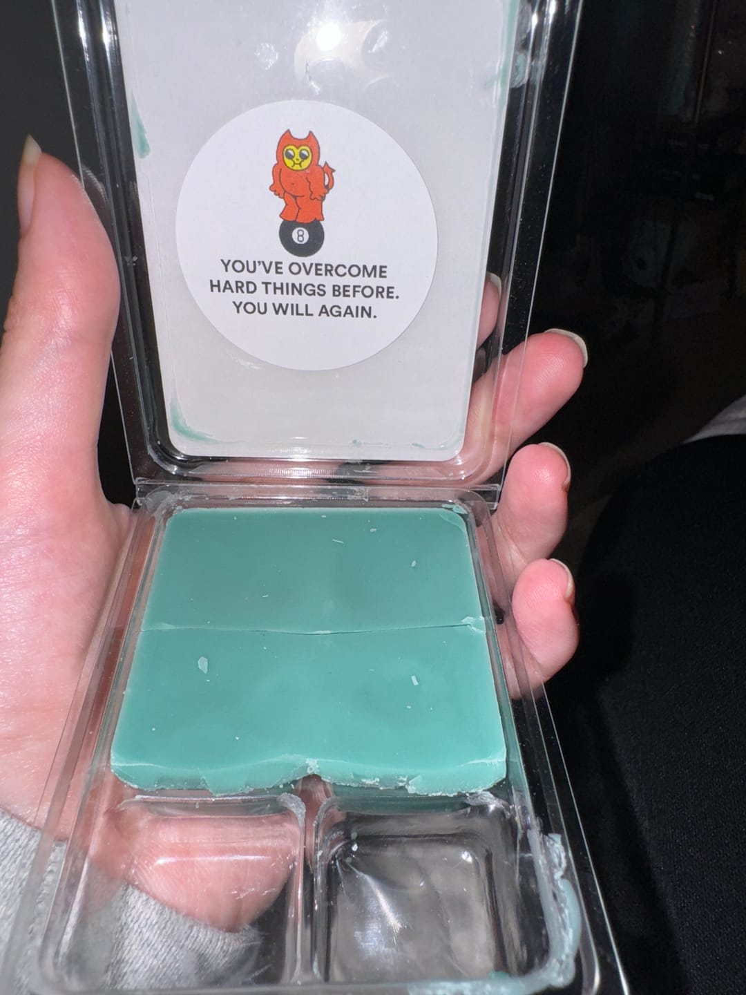 Customer photo review of Petrichor Wax Melts