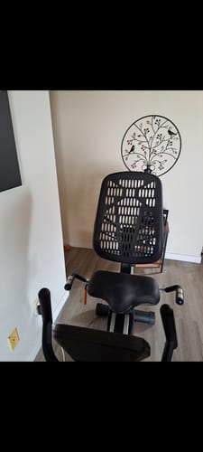 Customer photo review of Fitway 1000RC Recumbent Bike