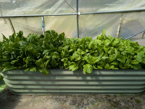 Customer photo review of 17” Tall Modular 9 in 1