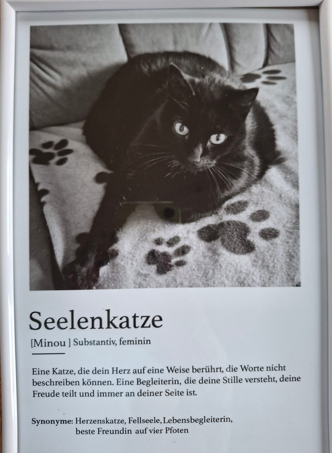 Customer photo review of Definition Seelentier - Individuelles Poster
