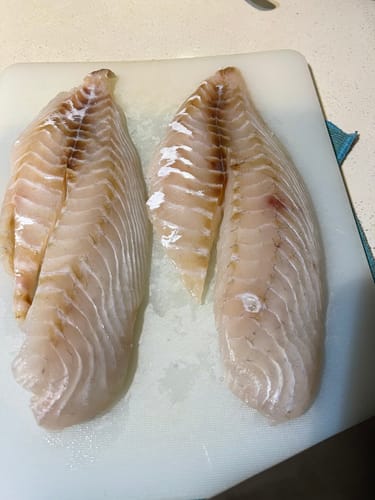 Customer photo review of 5KG Snapper Fillets (Skinned and Boned) Frozen