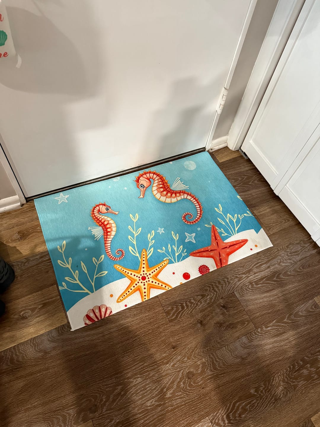 Customer photo review of Nautical Outdoor Rug with Seahorse and Starfish Design