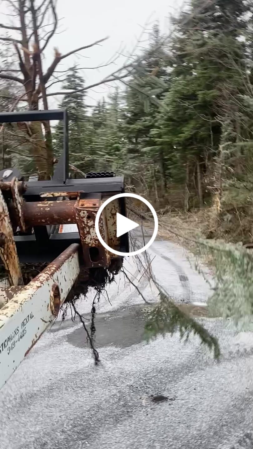 Customer video review of The Power Claw - Tree Puller