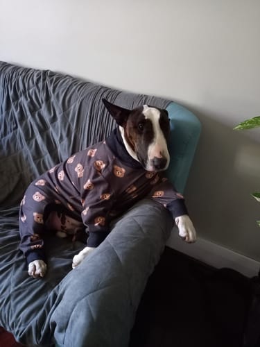 Customer photo review of Dog Pajama - Bear Black
