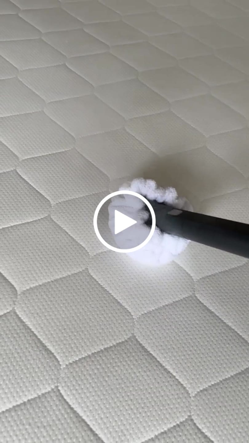 Customer video review of TS2 Performance Stoomreiniger
