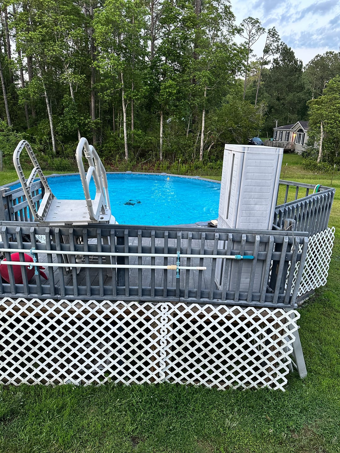 Customer photo review of Frog Leap Torpedo pac 01-03-7937 (6 pack)