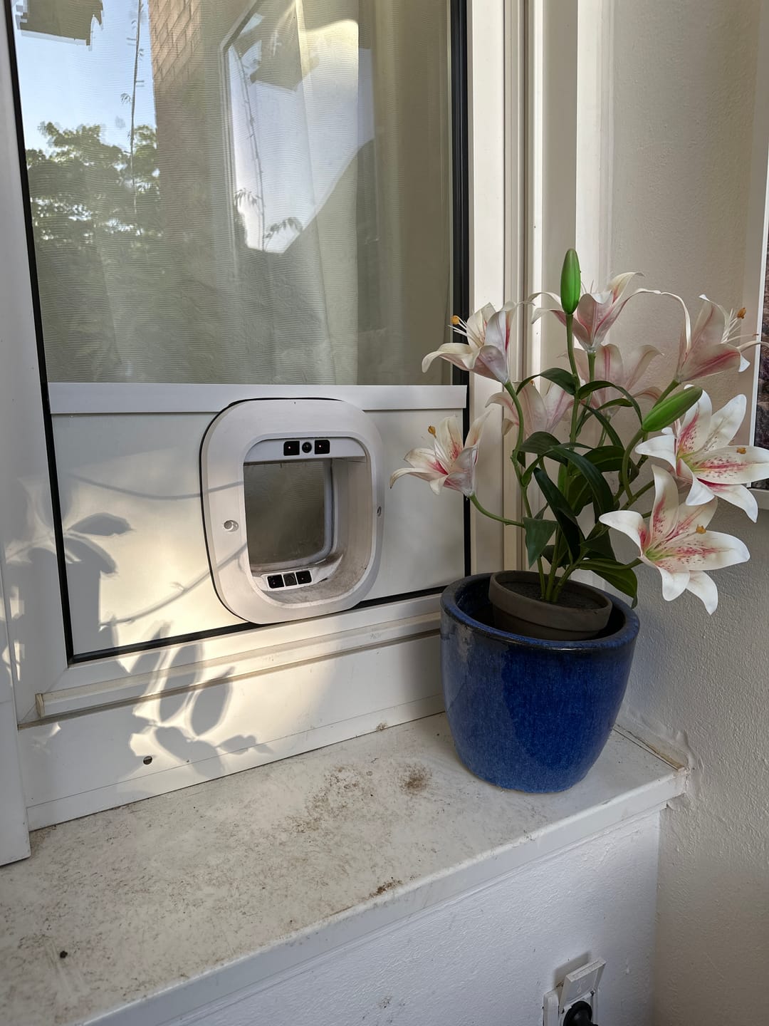 Customer photo review of Flappie®