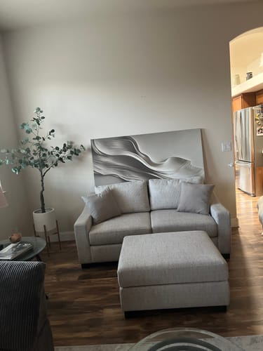 Customer photo review of Beige Abstract Minimalist Wall Art