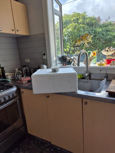 Customer photo review of Bluff Oysters Frozen (1st Grade) Dozen