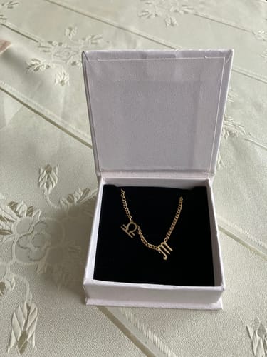 Customer photo review of Two Zodiac Signs Necklace