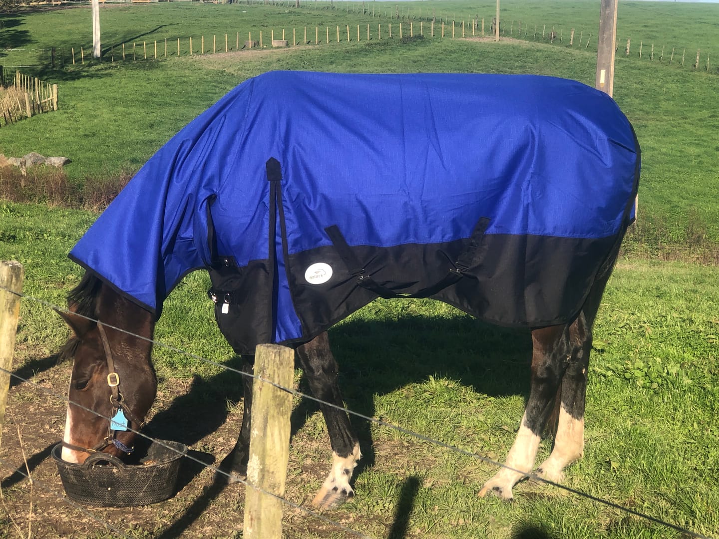 Customer photo review of Duke 1200D Combo