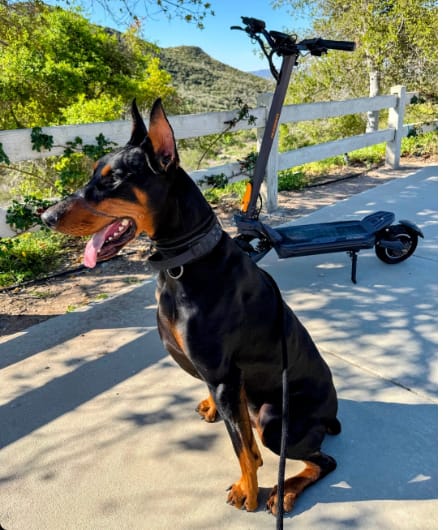 Customer photo review of Ausom F1 Max Electric Scooter