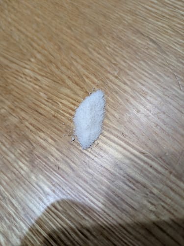 Customer photo review of ビタミンC+D -Wakasapri for Pro.