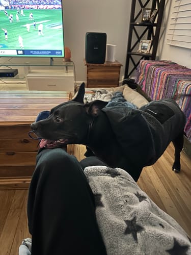 Customer photo review of Reversible Sherpa Jackets