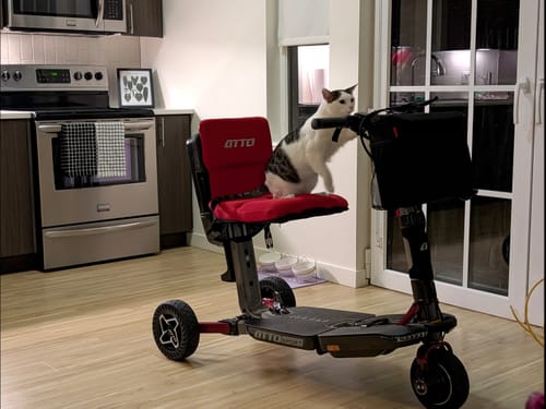 Customer photo review of ATTO SPORT Portable Mobility Scooter