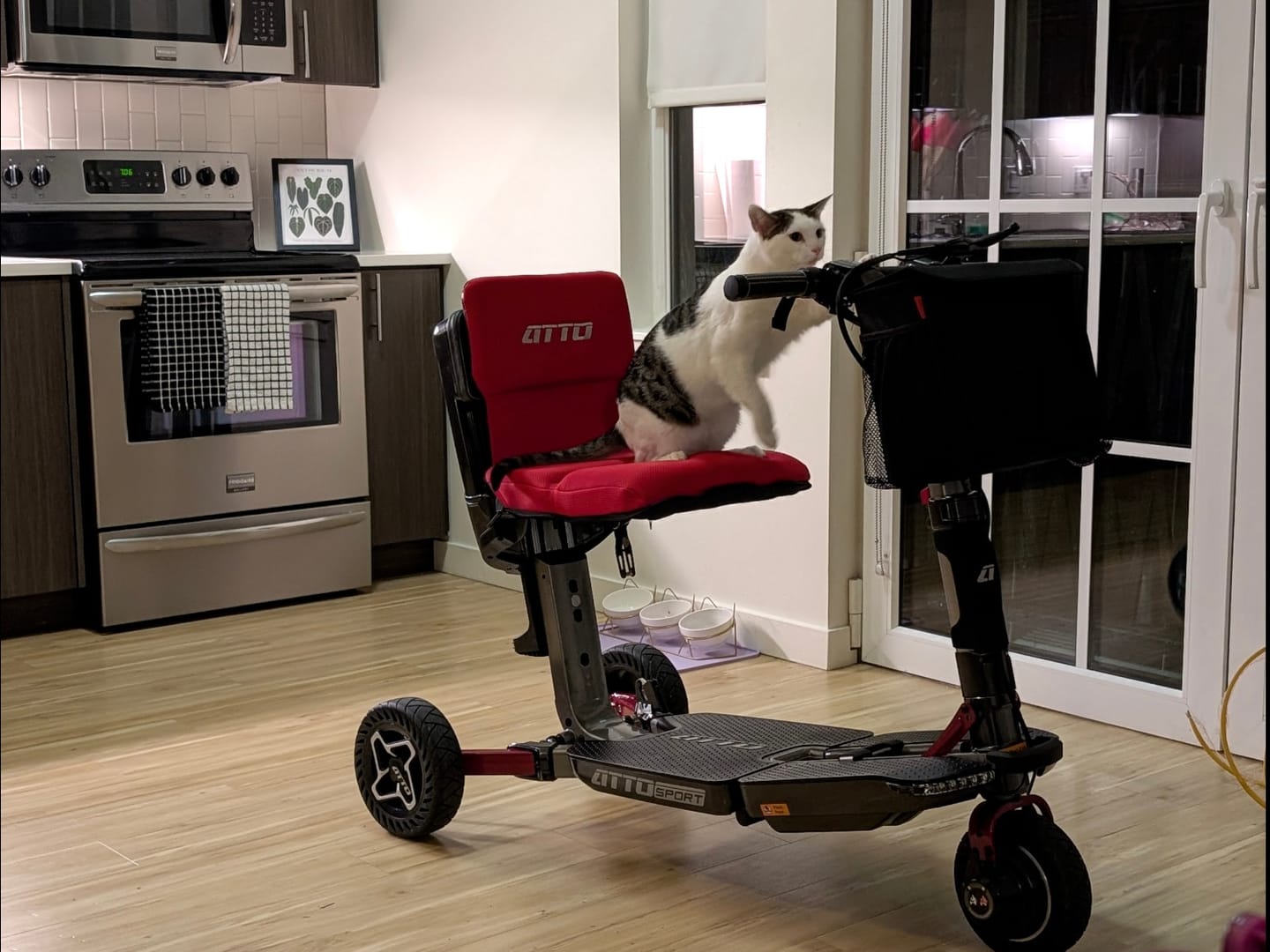 Customer photo review of ATTO SPORT Portable Mobility Scooter