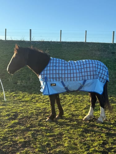 Customer photo review of Flair Wanaka Rug 1200D