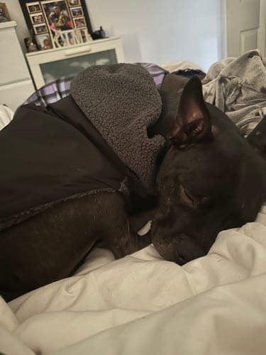 Customer photo review of Reversible Sherpa Jackets