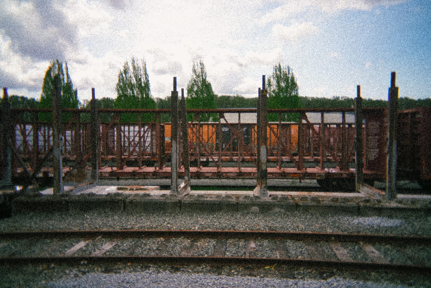 Customer photo review of Film Simulation Presets (Digital Download)