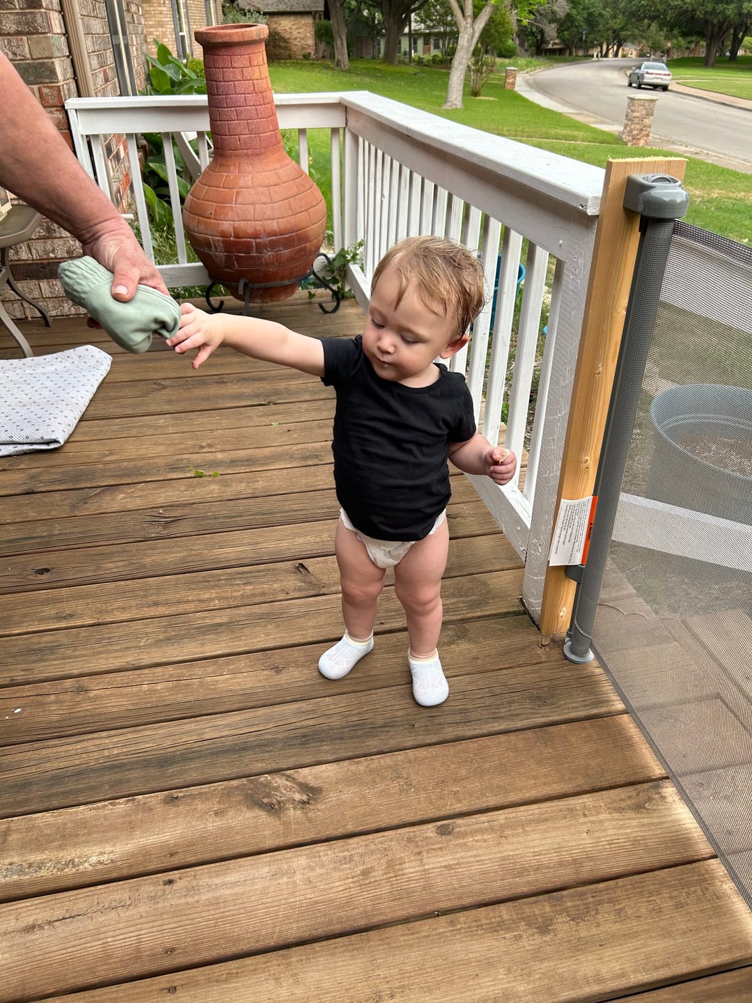 Customer photo review of Tiny Explorings [Summer Edition]
